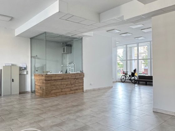 1к квартира на В. Великого 58 кв. м. Автономне газове опалення 8/16 Львів