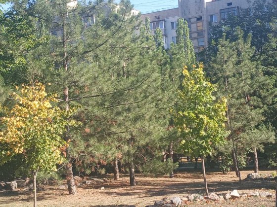 2к квартира  рядом сквер Запорожье