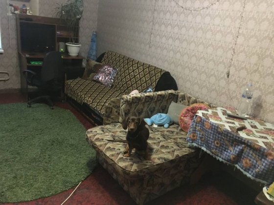 Продається кімната в сімейному гуртожитку Бровары