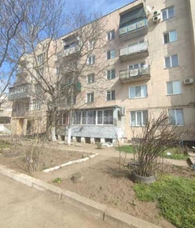 Идеальный вариант для старта - фото 1