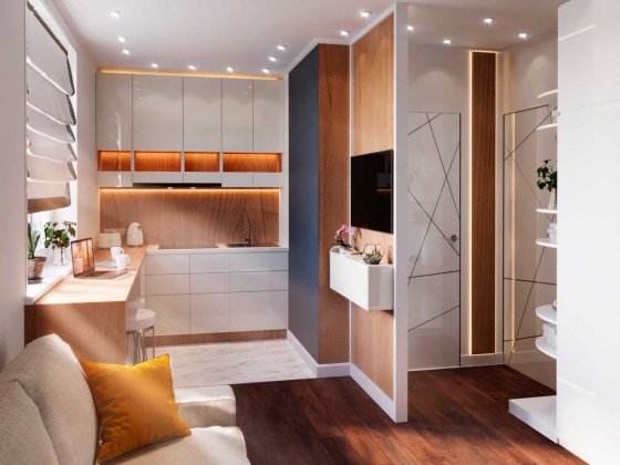 Студія 15.2м2 | Вибір планувань | Газ 2-контурний котел | Вікна GLASSO Софіївська Борщагівка