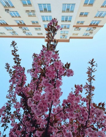 1К квартира 56м на дві сторони ЖК Львівський Маєток. Заселений Будинок - фото 1