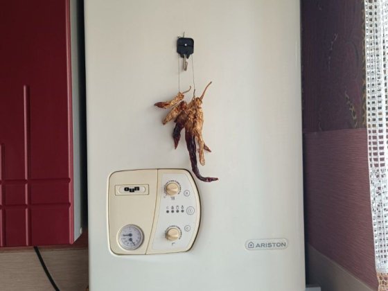 Здам 2х-кімнатну квартиру в районі М'ясокомбінату Бердичів