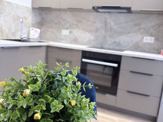 Здам Однокімнатну квартиру в ЖК Сіті парк Вышгород