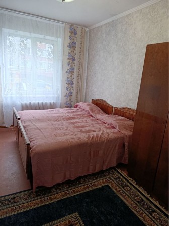 Здам квартиру, Центр, Завадського - фото 1