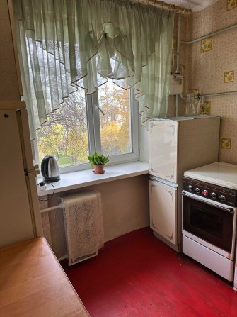 Здам квартиру в Центрі міста - фото 1