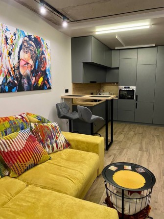 Здам 1к квартиру ЖК Акварелі-2 Вишневе,можна з твариною. - фото 1