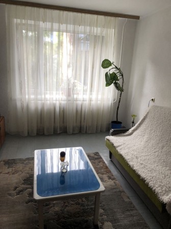 Здам одно кімнатну - фото 1