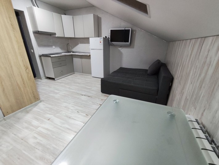 Вільна студія біля парку Дубки! - фото 1