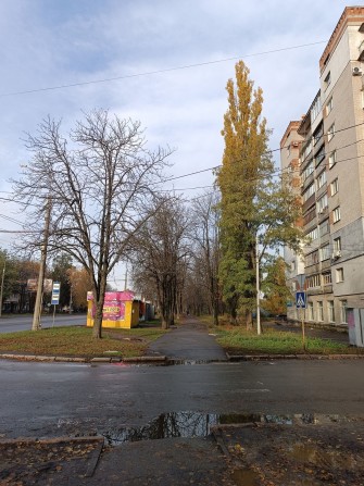 Оренда квартири по вулиці  Європейській - фото 1