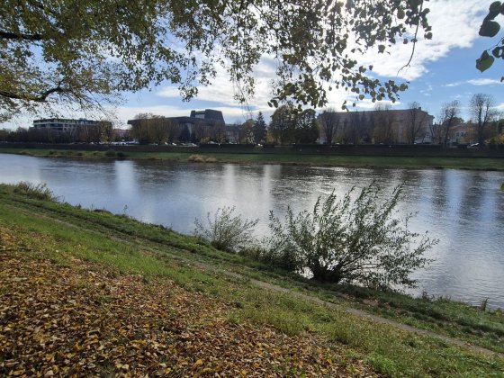 Здається в оренду кв-ра у Центрі біля Набережної Ужгород