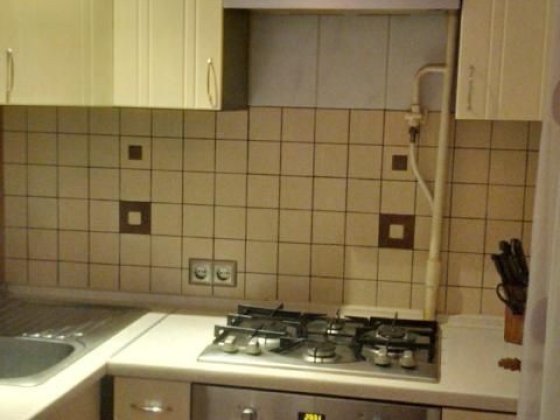 Оренда 1 кім квартири проспект Європейського союзу 70 б, Виноградар Київ