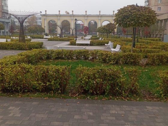 Здам квартиру напроти Глобалу Житомир