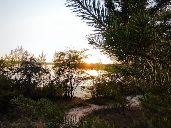 Здам будинок з ремонтом. Єлизаветівка Кам'янське