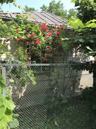 Приватний будинок з цегли - фото 1