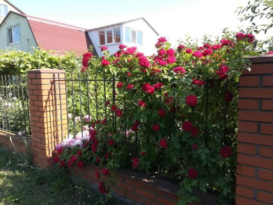 Аренда будинку в Борисполі