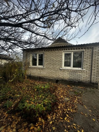 Здам будинок Бориспіль р н Розвилки - фото 1