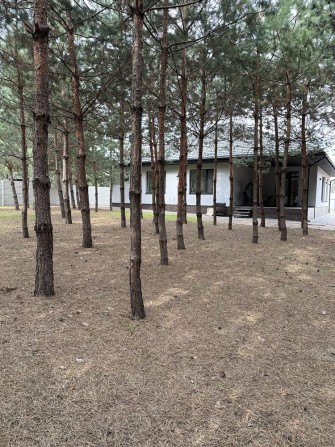 Оренда нового будинку в лісі Полтава - фото 1