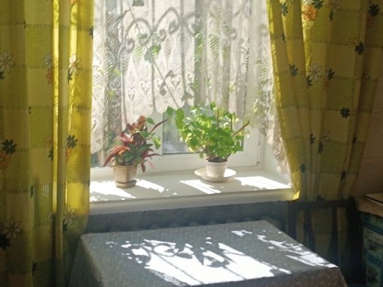 1-но кім. Р-н Житнього ринку меблі, побутова техніка, жилий стан Житомир