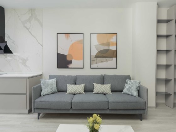 Оренда квартири з дизайнерським ремонтом. Київ