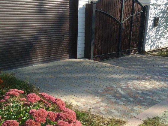 Довгострокова тренда частини дубинку біля Ялівщини Чернігів