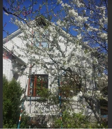 Оренда двоповерхового   будинку з сауною, Ближнє Замостя. - фото 1