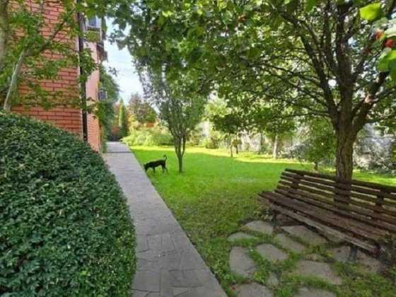 Сдам уютный 6к дом АНД Дніпро