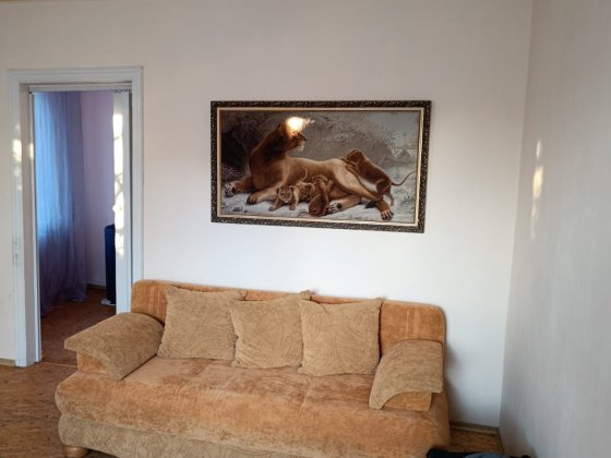 Срочная аренда большого 3к дома с баней и гаражом в Лесках Николаев