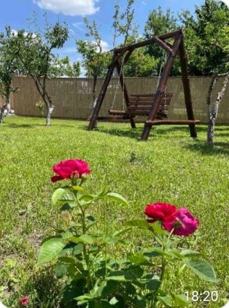 Сдам красивый дом 2 к+ кухня студия Фонтанка!Собачку можно! - фото 1