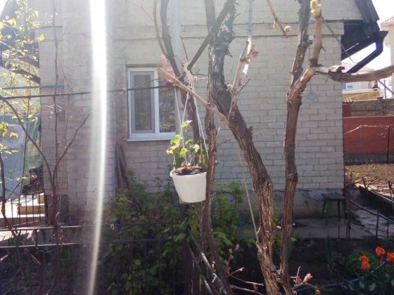 Сдается дом на длительно Одеса