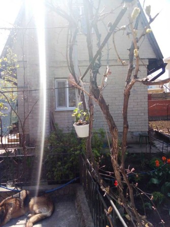 Сдается дом на длительно - фото 1