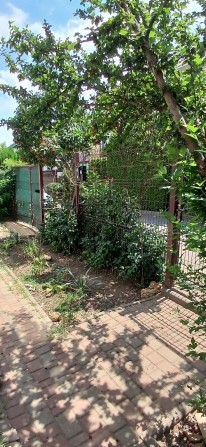 Сдам дом ЖМ "Добрый" от хозяина - фото 1