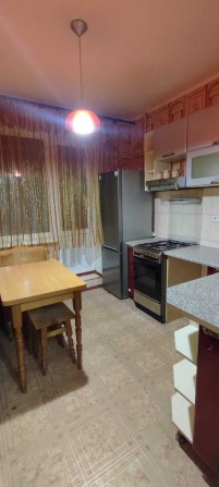 Сдам однокомнатную квартиру на Виноградарях - фото 1