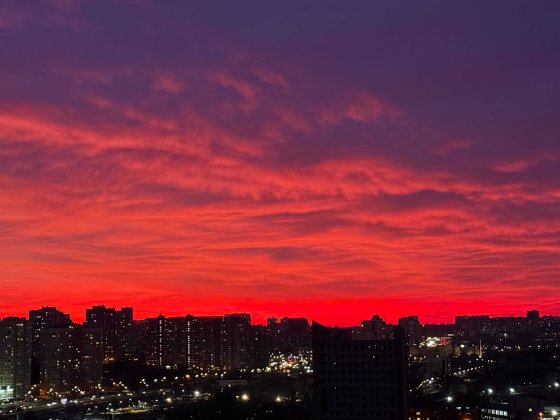 без % 2 окремі кімнати Власник Центр метро ЖК Новопечерська Вежа Липки Киев