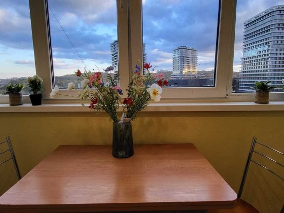 Здам 2х кімнатну квартиру біля метро Голосіївська Київ