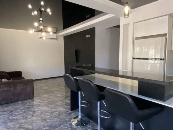 Аренда дома Черноморка  стильный новый дом Одесса