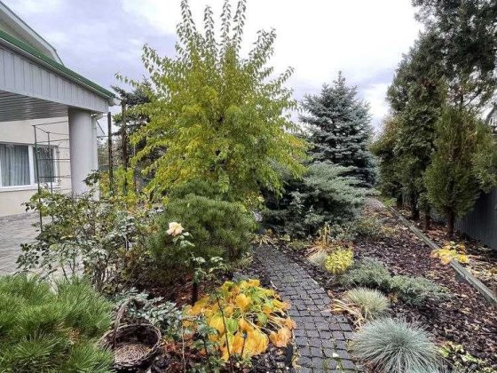 Здам 3-к будинок Обухівка СТ Сфера Обуховка