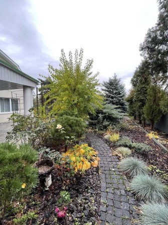 Здам 3-к будинок Обухівка СТ Сфера - фото 1