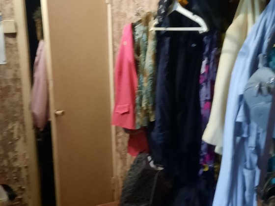 Здається квартира Київ