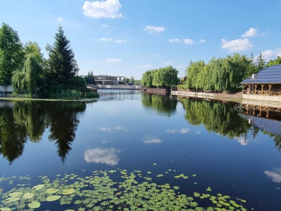 Конча Заспа, Козин аренда дома с выходом на Днепр Козин