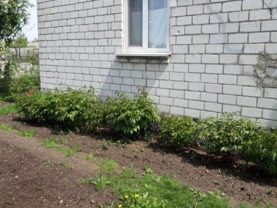 Здам будиночок,окреме подвір'я с.Княжичі Княжичи