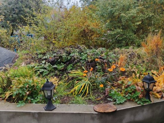 Здам пів дому на 2 кімн.Лютіж. Лютеж