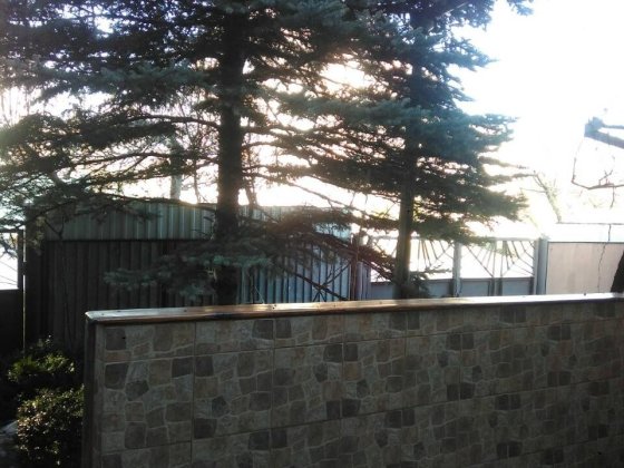 Терміново здам 1/2 дома з індивідуальним входом від власника