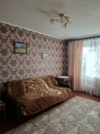 Сдам 1 к.квартиру ( власник) - фото 1