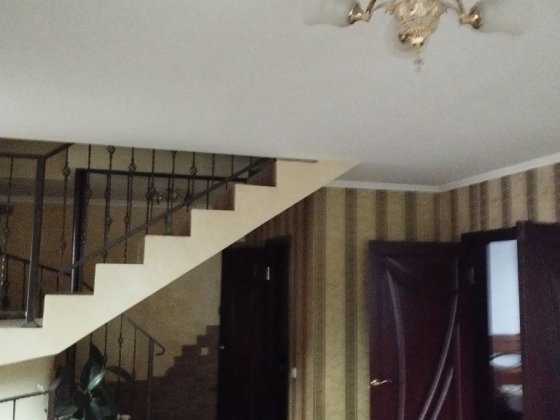 Здам будинок а оренду Требухов