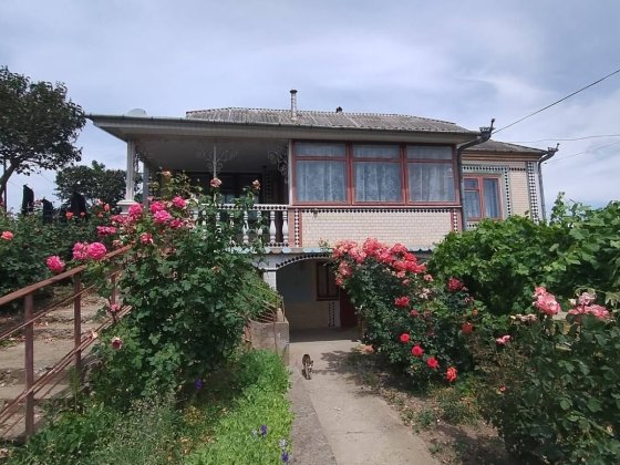 Оренда житла будинок Нова Ушиця