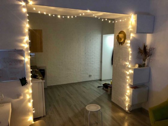 1 к квартира в центре Одессы - высокие потолки, техника, новый ремонт Одесса