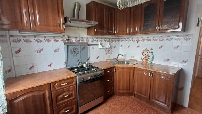 1 к Пасічна ( Китайська) - фото 1