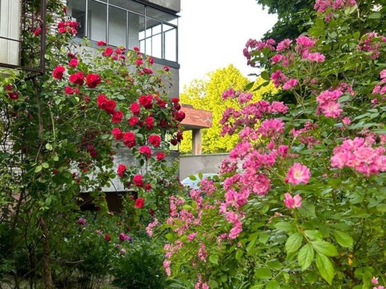 Здається в оренду 2 кімнатна квартира по вул. Наукова, 59 Львів