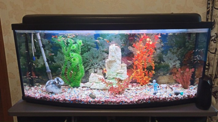 4-ох кімн квартира , центр міста - фото 1